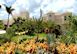 Lime Stone Bay Villa Rental Anguilla