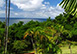 Sand Dollar St. Lucia Vacation Villa - Cap Estate