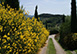 La Pieve Italy Vacation Villa - Lucca, Tuscany