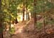 Pine Mountain Lake Arrowhead Lodges