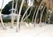 Sunset Beach Villa Key West Florida Vacation Rental