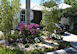 Luxury Villa Rental Miami