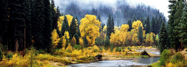 Washington Vacation Rentals