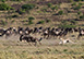 Mahali Mzuri, Sir Richards Camp, Kenya, Africa