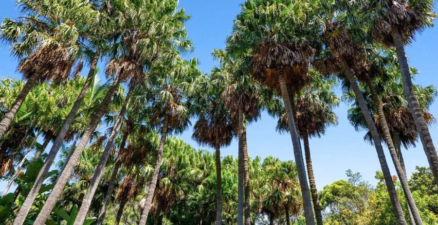 Amara Australia Vacation Villa - Sydney