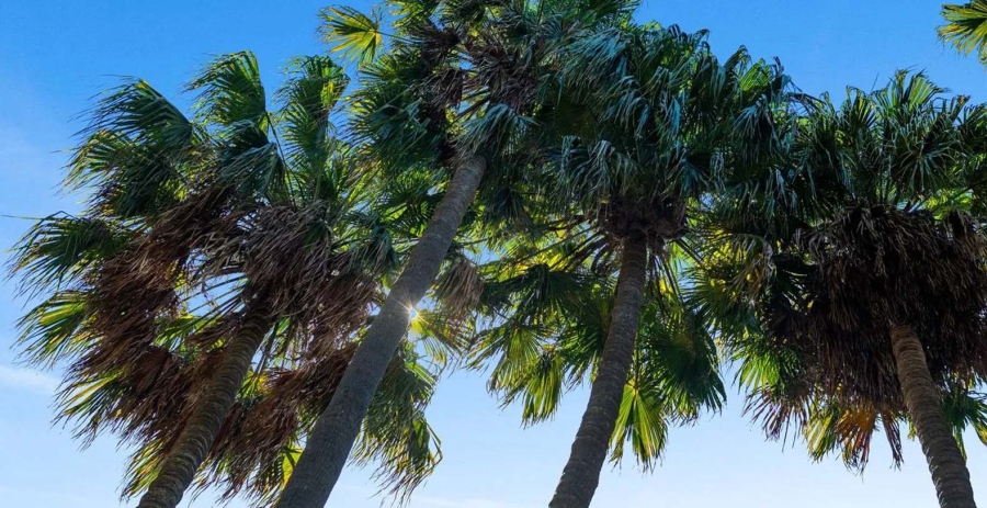 Amara Australia Vacation Villa - Sydney