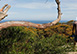 Pretty Beach House, Bouddi Peninsula, NSW Australia