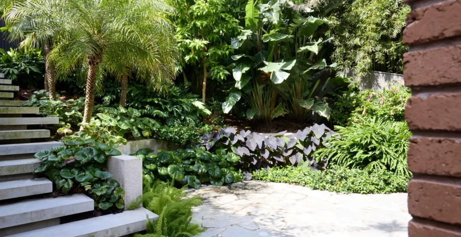 Surfside Clovelly  Vacation Villa - Sydney