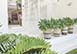 Wagstaffe Tropics Australia Vacation Villa - Wagstaffe