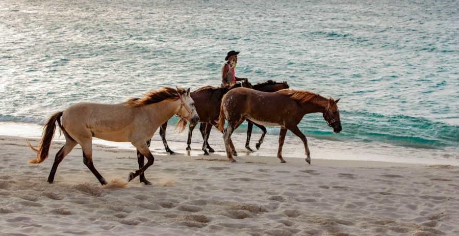 Ocean Pearl Villa Rendezvous Bay Vacation Villa - Anguilla