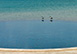 Blue Pelican Jumby Bay