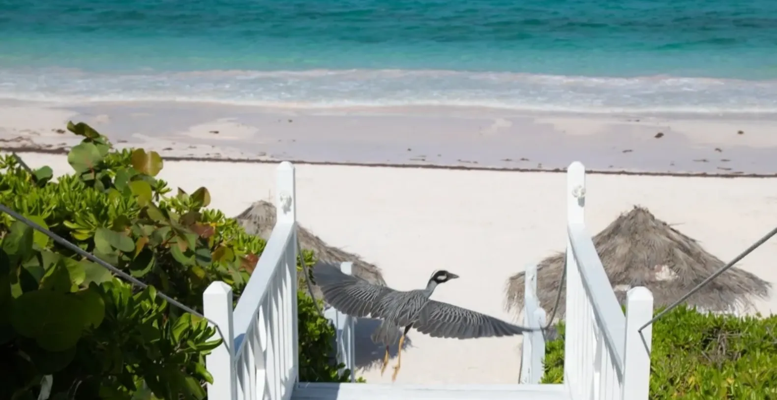 Sea Siren Bahamas Vacation Villa - Harbour Island