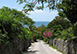 Squire's Estate Bahamas Vacation Villa - Governor's Harbour, Eleuthera