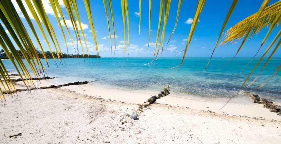 Bit of Heaven Grand Cayman - Ocean Views