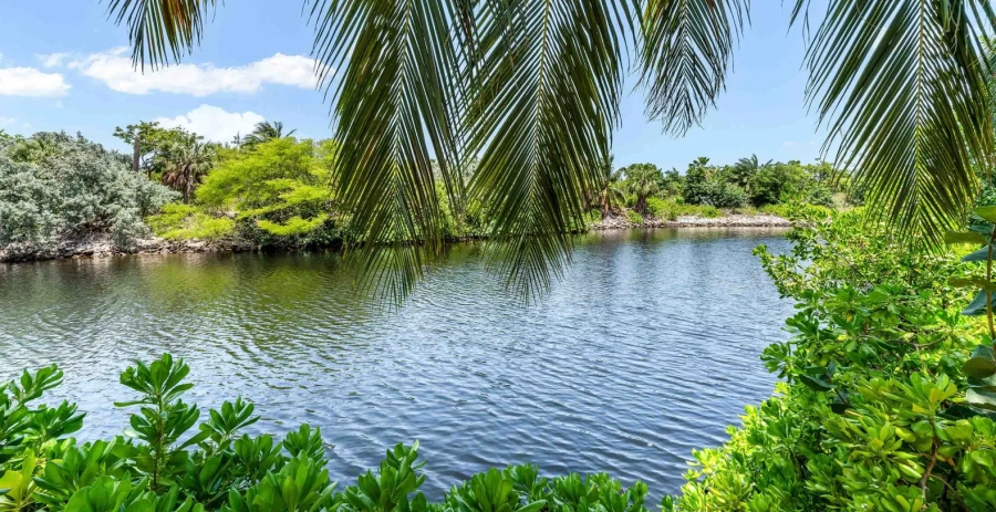 Ritz Carlton Deckhouse Vacation Villa - Cayman Islands