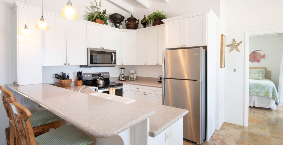 Conch'ed Out + Cottage Grand Cayman Oceanfront Villa - North Side