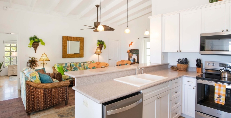 Conch'ed Out + Cottage Grand Cayman Oceanfront Villa - North Side