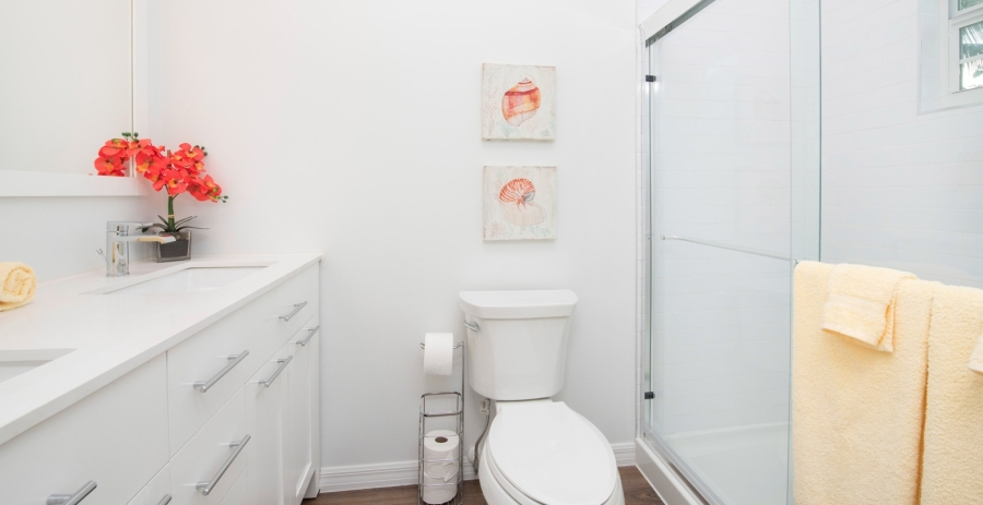 Conch'ed Out + Cottage Grand Cayman Oceanfront Villa - North Side