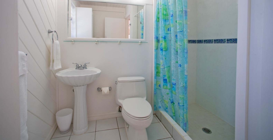 Just For Fun Grand Cayman Vacation Villa - North Coast