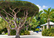 Kaiku Grand Cayman Vacation Villa - Cayman Kai