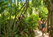 Kaiku Grand Cayman Vacation Villa - Cayman Kai