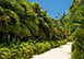 Kaiku Grand Cayman Vacation Villa - Cayman Kai