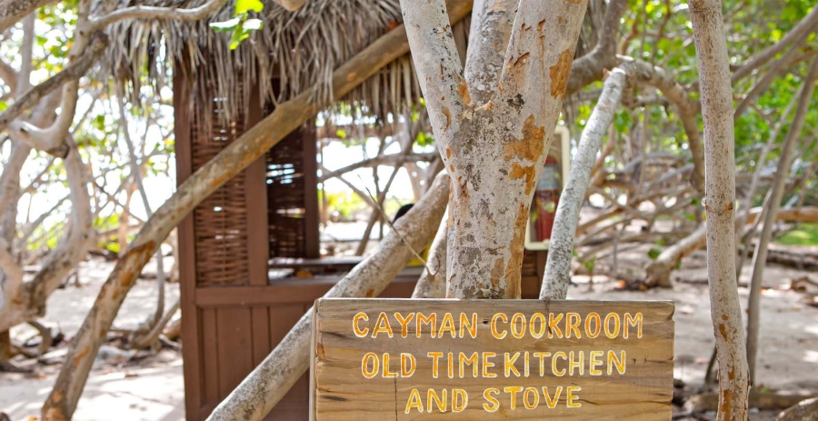 Sea Orchard Retreat Grand Cayman, Caribbean Vacation Villa - West Bay