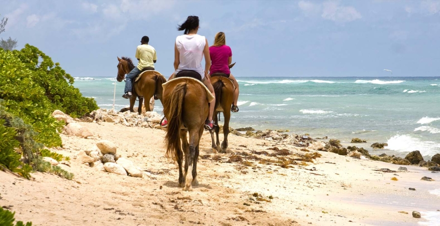 Sea Orchard Retreat Grand Cayman, Caribbean Vacation Villa - West Bay