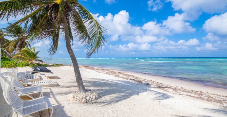 Timeless Paradise Grand Cayman Vacation Villa - Rum Point