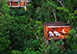 Secret Bay Estate Caribbean Vacation Villa - Dominica