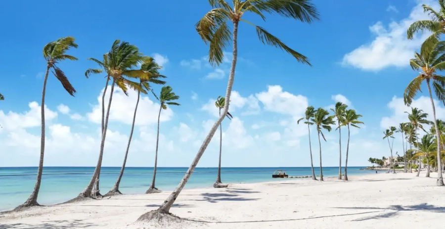 Costa Azul  Cap Cana Vacation Villa - Dominican Republic