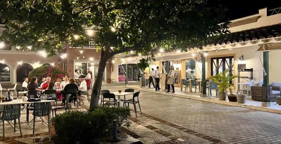 Palm Tree Estate Punta Cana Vacation Villa - Cap Cana Resort