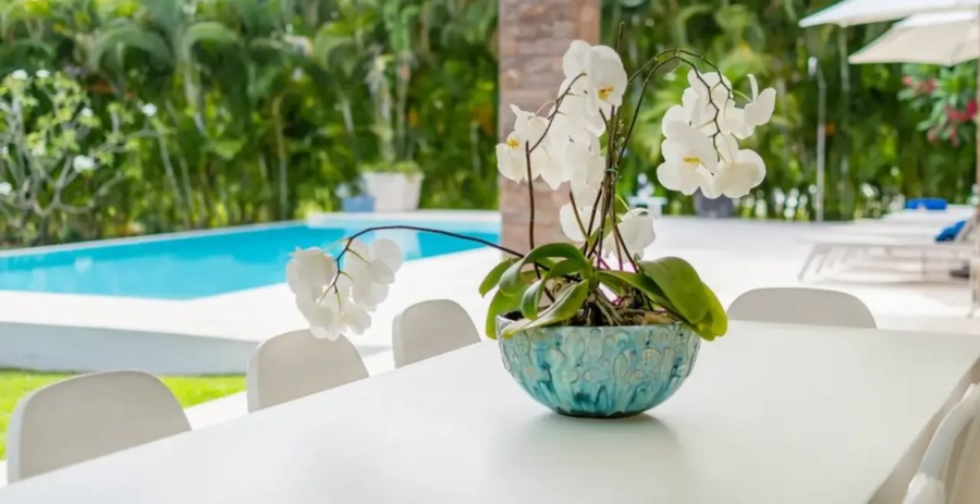 Villa La Palapa Punta Cana Vacation Villa - Dominican Republic