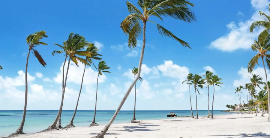 Villa Moderna DR Vacation Villa - Cap Cana