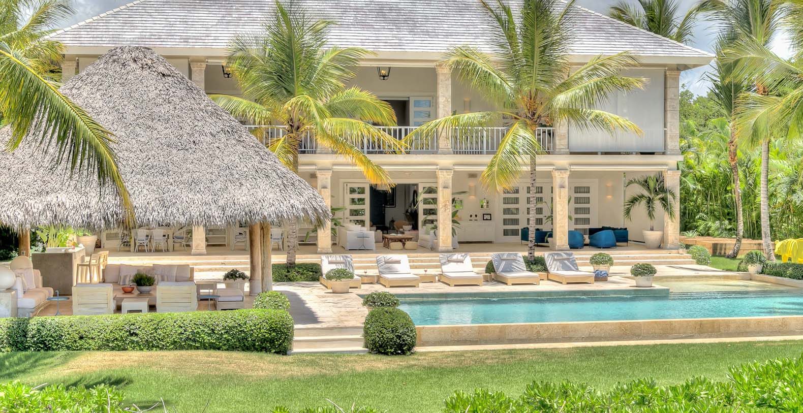 Yellow Bear Dominican Republic