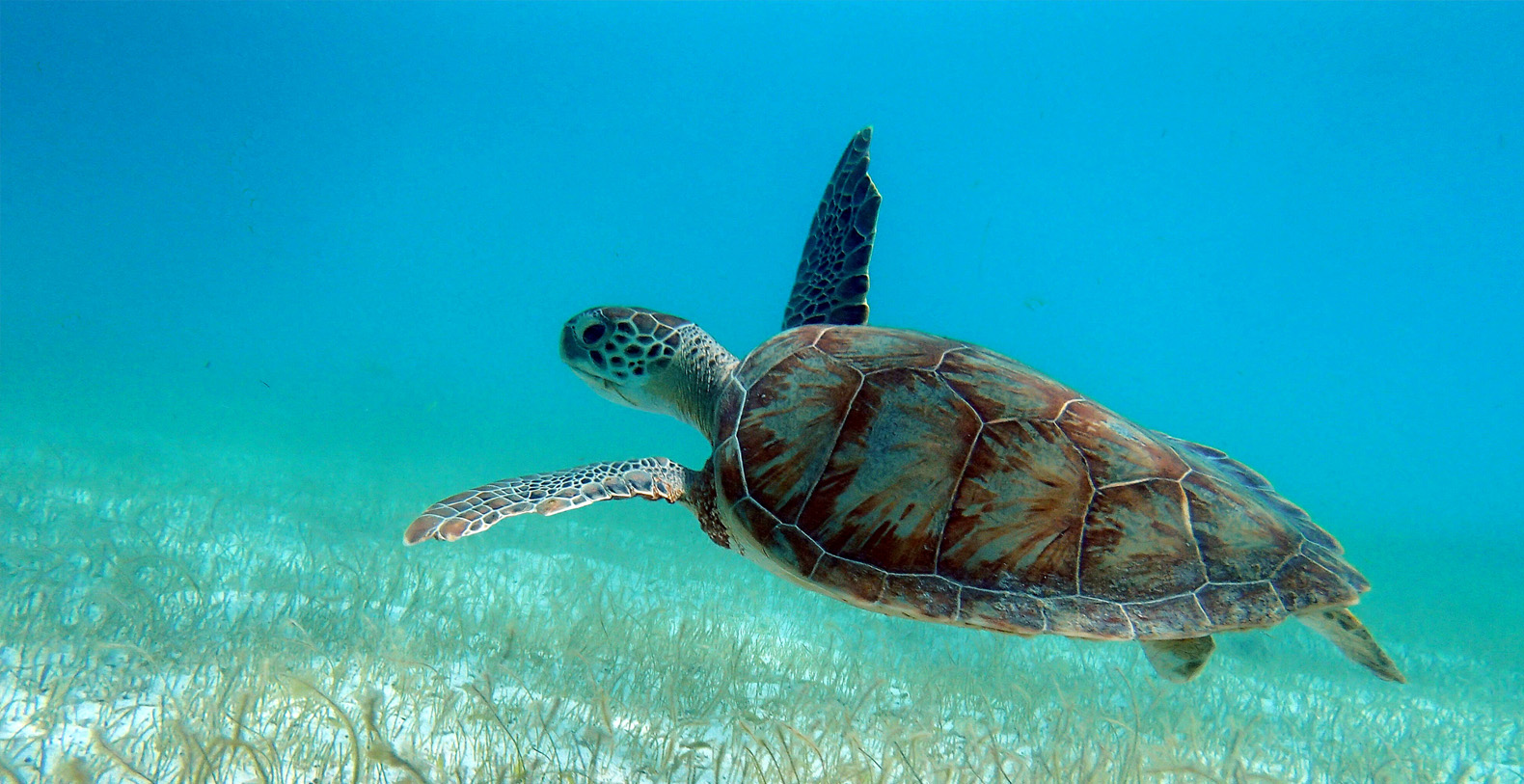 Petit St. Vincent Grenadines Vacation Villa - Private Island