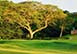 Elysian Plain Tryall Club, Jamaica Tryall Golf Club, Vacations Rentals Caribbean