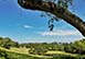 Elysian Plain Tryall Club, Jamaica Tryall Golf Club, Vacations Rentals Caribbean