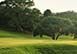 Elysian Plain Tryall Club, Jamaica Tryall Golf Club, Vacations Rentals Caribbean