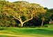 Following Seas Villa Tryall Golf Club Jamaica