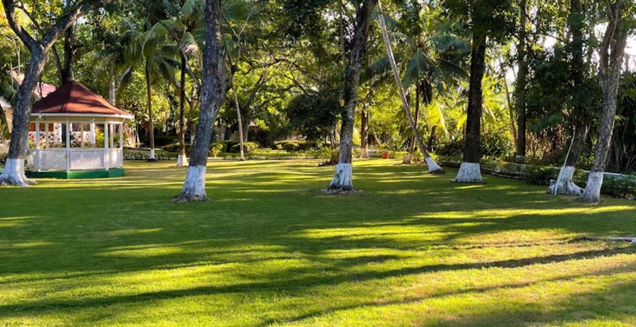 Golden Clouds Estate Ocho Rios, Jamaica Luxury Rental