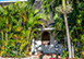 Stella Marina Jamaica Vacation Villa - Hanover