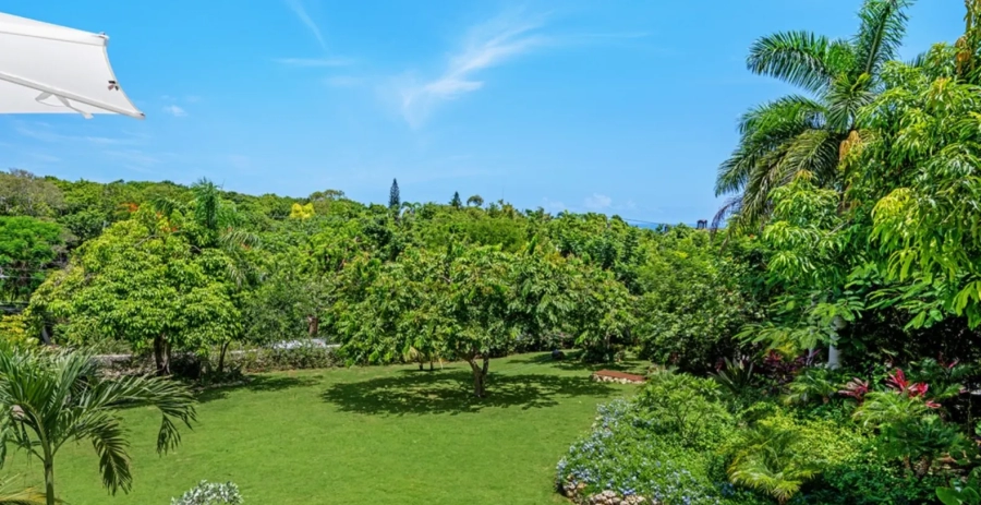 Villa Abacus  Vacation Villa - Jamaica
