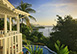 Saline Reef in St. Lucia Caribbean