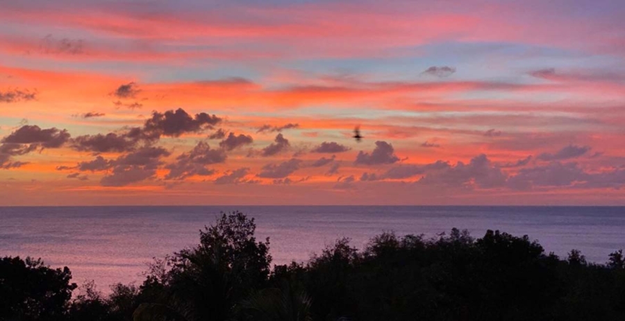 The Date House St. Lucia Vacation Villa - Marisule