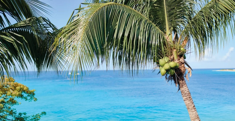 La Samanna Plunge Pool Suite French Side Vacation Villa - Saint Martin