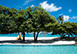 Palm Beach Cottage Caribbean Vacation Villa - Mustique, Grenadines