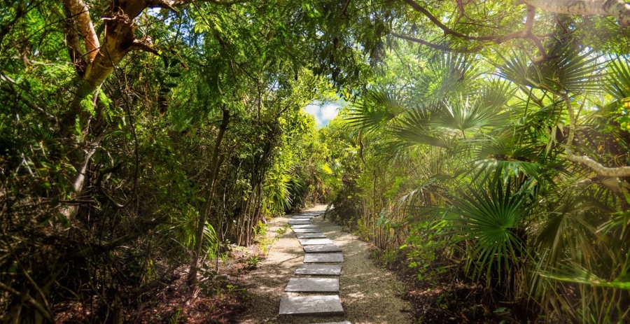Alize Villa Turks & Caicos Vacation Villa - Long Bay