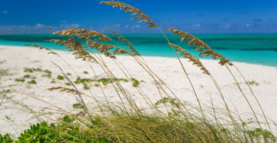 Bliss Four Turks & Caicos Luxury Rentals Vacation Villa - Turks & Caicos