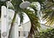 Emara West Turks & Caicos Vacation Villa - Turtle Tail